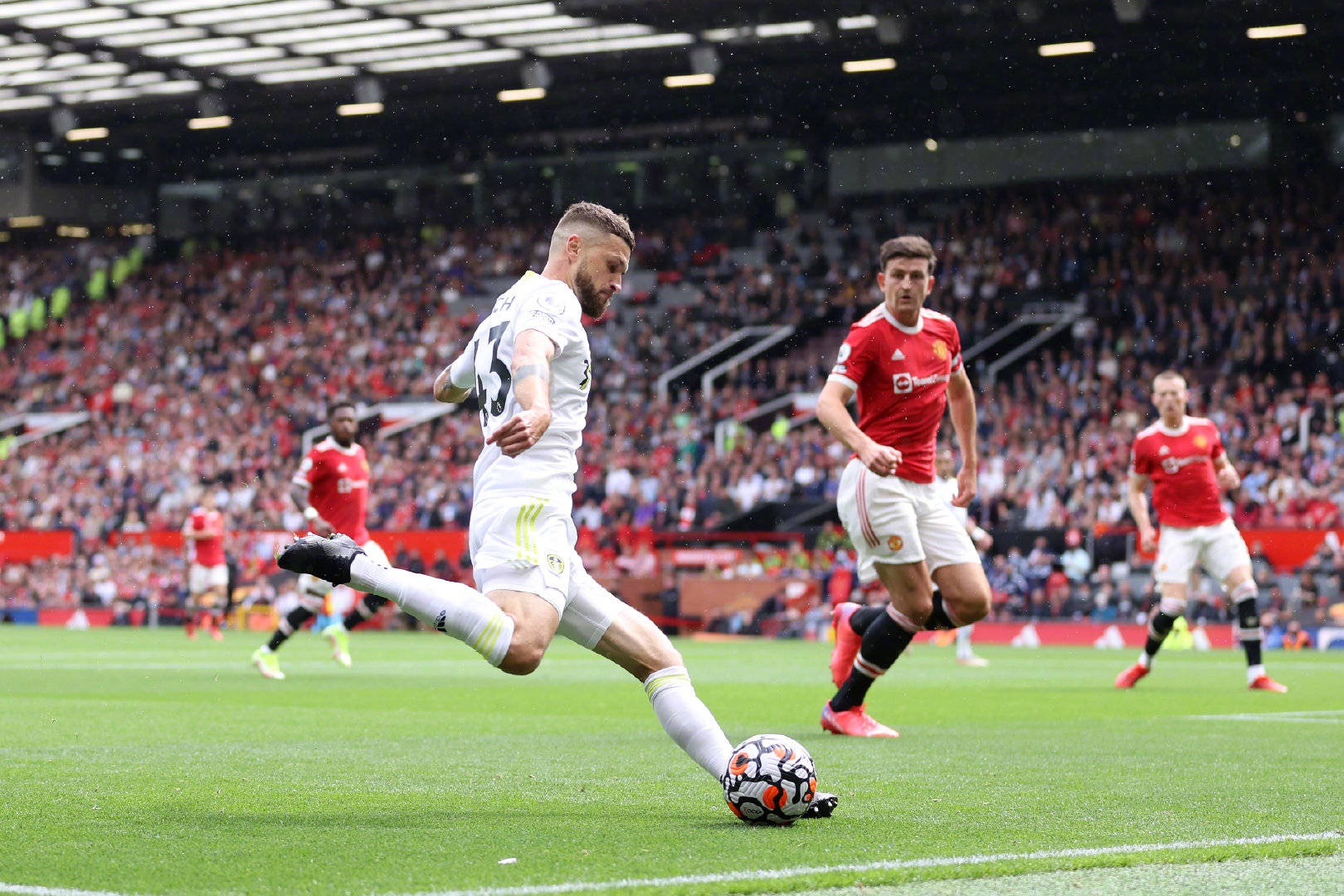 忠诚卫士和 忠诚卫士和